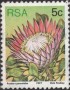 植物:非洲:南非:za197705.jpg