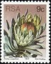 植物:非洲:南非:za197709.jpg