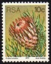 植物:非洲:南非:za197710.jpg