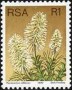 植物:非洲:南非:za197716.jpg