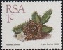 植物:非洲:南非:za198801.jpg