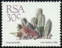 植物:非洲:南非:za198809.jpg