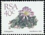 植物:非洲:南非:za198811.jpg