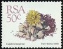 植物:非洲:南非:za198812.jpg