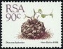 植物:非洲:南非:za198813.jpg