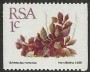 植物:非洲:南非:za198816.jpg