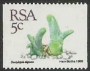 植物:非洲:南非:za198818.jpg