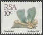 植物:非洲:南非:za198819.jpg
