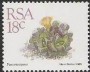 植物:非洲:南非:za198901.jpg