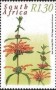 植物:非洲:南非:za200002.jpg