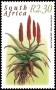 植物:非洲:南非:za200009.jpg