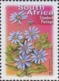 植物:非洲:南非:za200302.jpg
