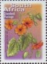 植物:非洲:南非:za200305.jpg