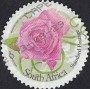 植物:非洲:南非:za200905.jpg