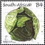 植物:非洲:南非:za201105.jpg