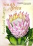 植物:非洲:南非:za201208.jpg