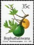 植物:非洲:博普塔茨瓦纳:bp199102.jpg