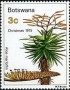植物:非洲:博茨瓦纳:bw197501.jpg