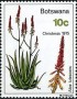 植物:非洲:博茨瓦纳:bw197502.jpg