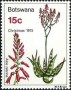 植物:非洲:博茨瓦纳:bw197503.jpg