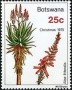 植物:非洲:博茨瓦纳:bw197504.jpg