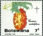 植物:非洲:博茨瓦纳:bw198501.jpg