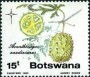 植物:非洲:博茨瓦纳:bw198502.jpg