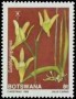 植物:非洲:博茨瓦纳:bw198901.jpg