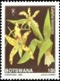 植物:非洲:博茨瓦纳:bw198902.jpg