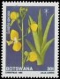 植物:非洲:博茨瓦纳:bw198903.jpg