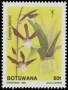 植物:非洲:博茨瓦纳:bw198904.jpg