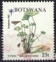 植物:非洲:博茨瓦纳:bw199202.jpg