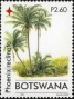 植物:非洲:博茨瓦纳:bw200602.jpg