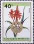植物:非洲:卢旺达:rw196902.jpg