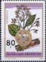 植物:非洲:卢旺达:rw196907.jpg