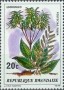 植物:非洲:卢旺达:rw197901.jpg