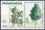 植物:非洲:卢旺达:rw198404.jpg