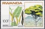 植物:非洲:卢旺达:rw198407.jpg
