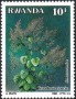 植物:非洲:卢旺达:rw198802.jpg