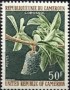 植物:非洲:喀麦隆:cm197304.jpg