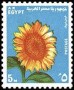 植物:非洲:埃及:eg197101.jpg
