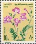 植物:非洲:埃及:eg197201.jpg