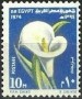 植物:非洲:埃及:eg197401.jpg