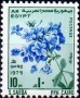 植物:非洲:埃及:eg197501.jpg