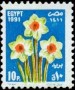 植物:非洲:埃及:eg199101.jpg