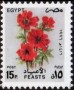 植物:非洲:埃及:eg199602.jpg
