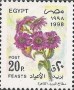 植物:非洲:埃及:eg199801.jpg