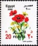 植物:非洲:埃及:eg200003.jpg