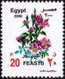 植物:非洲:埃及:eg200004.jpg