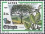 植物:非洲:埃塞俄比亚:et199304.jpg